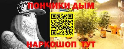 ГАЛЛЮЦИНОГЕННЫЕ ГРИБЫ Ирбит