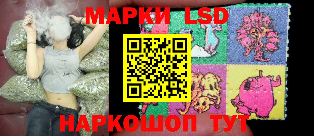 Наркотические марки 1,5мг  Вход с VPN  Карачаевск 