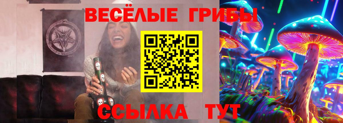 Псилоцибиновые грибы мицелий Карачаевск