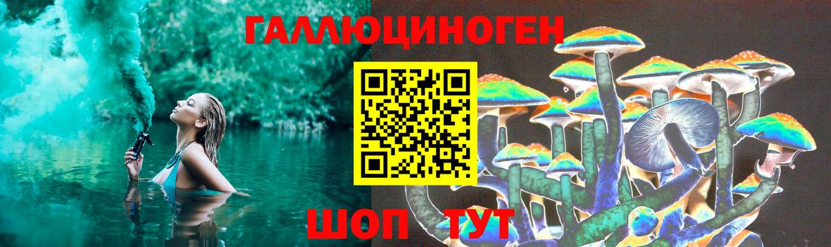 Галлюциногенные грибы мицелий  Вход с VPN  Карачаевск 
